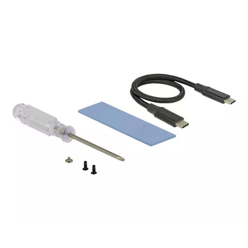Liitäntäkortti DeLOCK 42600 USB 3.2 Gen 1