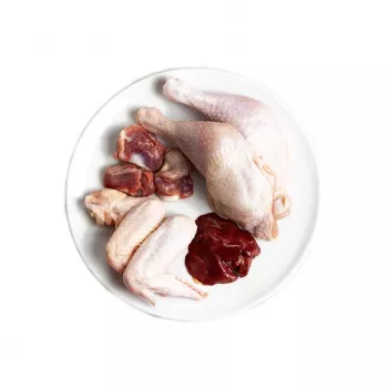 3COTY kana kissanpennuille - märkäruoka kissoille - 80g