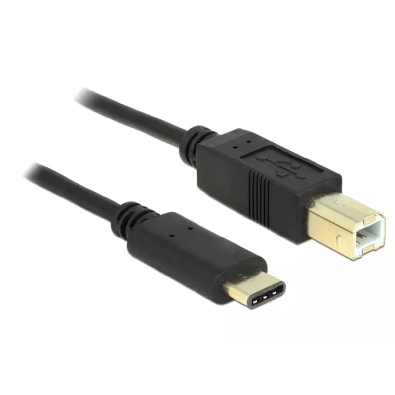 USB-kaapeli DeLOCK 2 m USB2.0-C/USB2.0-B