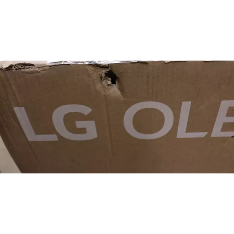 OLED-TV LG OLED55G51LW 55