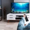 Digitaalinen TV-viritin MANTA DVBT005-SH DVB-T/T2 HEVC-tuki