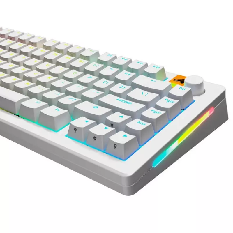 GLORIOUS GPBT Backlit Keycaps — PBT valkoinen, ANSI-asettelu