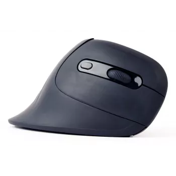Gembird MUSW-ERGO-03 hiiri koti oikeakätinen RF langaton optinen 1600 DPI