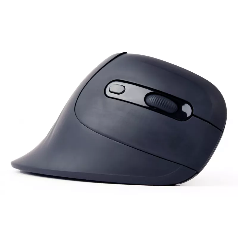 Gembird MUSW-ERGO-03 hiiri koti oikeakätinen RF langaton optinen 1600 DPI
