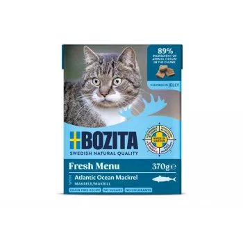Bozita MAKRILLILLA – PALOJA HYYTELÖSSÄ