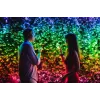 TWINKLY Strings 600 (TWS600STP-BEU) älykkäät joulukuusen valot 600 LED RGB 48 m