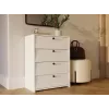 LOKA kenkäkaappi, valkoinen