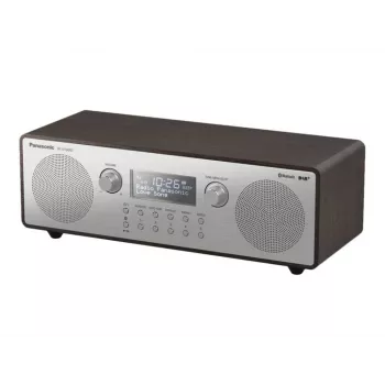RADIOPLAYER/RF-D100BTEGT PANASONIC