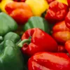 PNOS makean paprikan siemenseos, 0,6 g