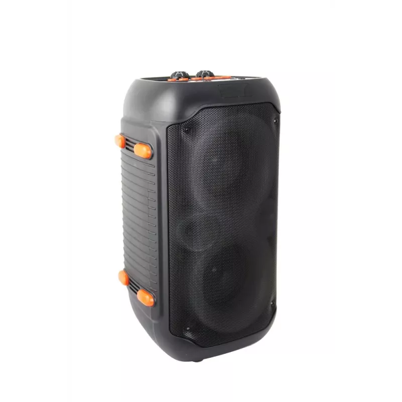 Esperanza EP156 BT FM LED RGB KARAOKE kaiutin musta 20W
