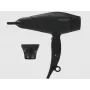 Hiustenkuivaaja Revamp DR-5000-EU 2000W