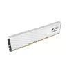 Muisti XPG Lancer Blade DDR5 6000 32GB (2x16) CL36 valkoinen