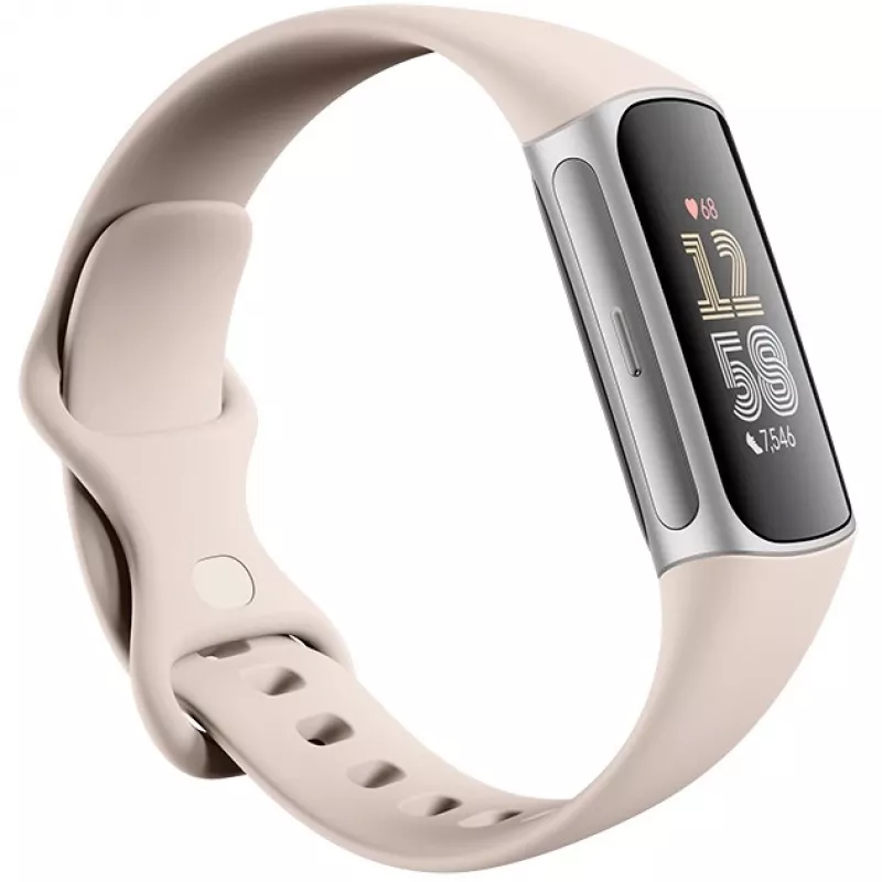 Fitbit GA05185-EU tuote hopea