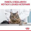 Royal Canin Urinary Care kuivaruoka kissoille 4 kg