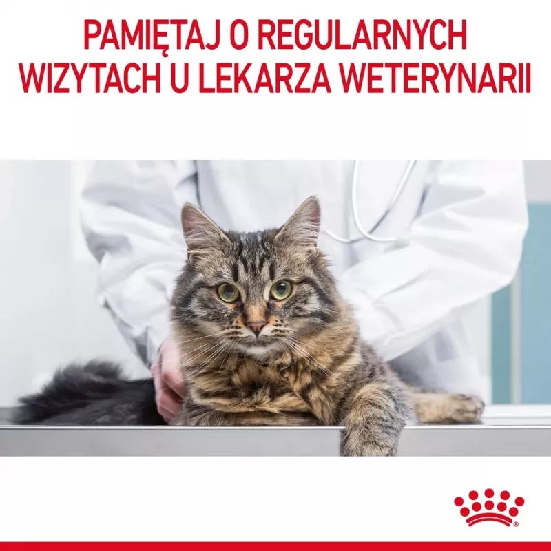 Royal Canin Urinary Care kuivaruoka kissoille 4 kg