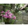 vesiletku Karcher Premium 5/8- 25M