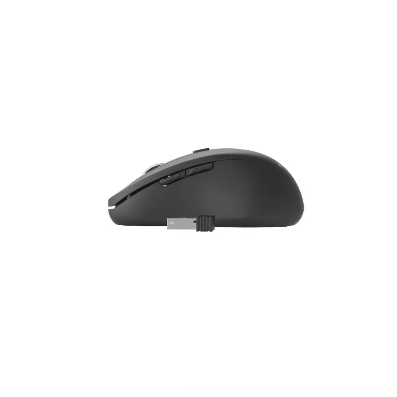 Gembird MUSW-6B-01 hiiri toimisto oikeakätinen RF langaton optinen 1600 DPI