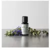 HoMedics Wind Down aromaesanssi eteerinen öljy 15 ml aromadiffuusori