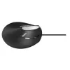 Hiiri Rapoo EV200 Office USB Type-A