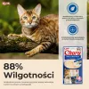 INABA Churu tonnikala ja naudanliha resepti - kissanherkut - 4x14 g
