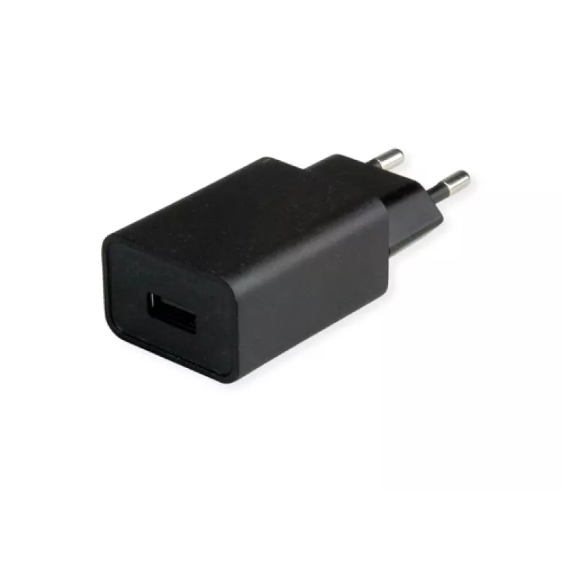 ROTRONIC-SECOMP VALUE - verkkolaite - AC 100-240 V - 12 W