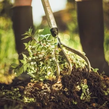Fiskars Xact™ Cultivator 3 harmaa, valkoinen käsinkuokkija