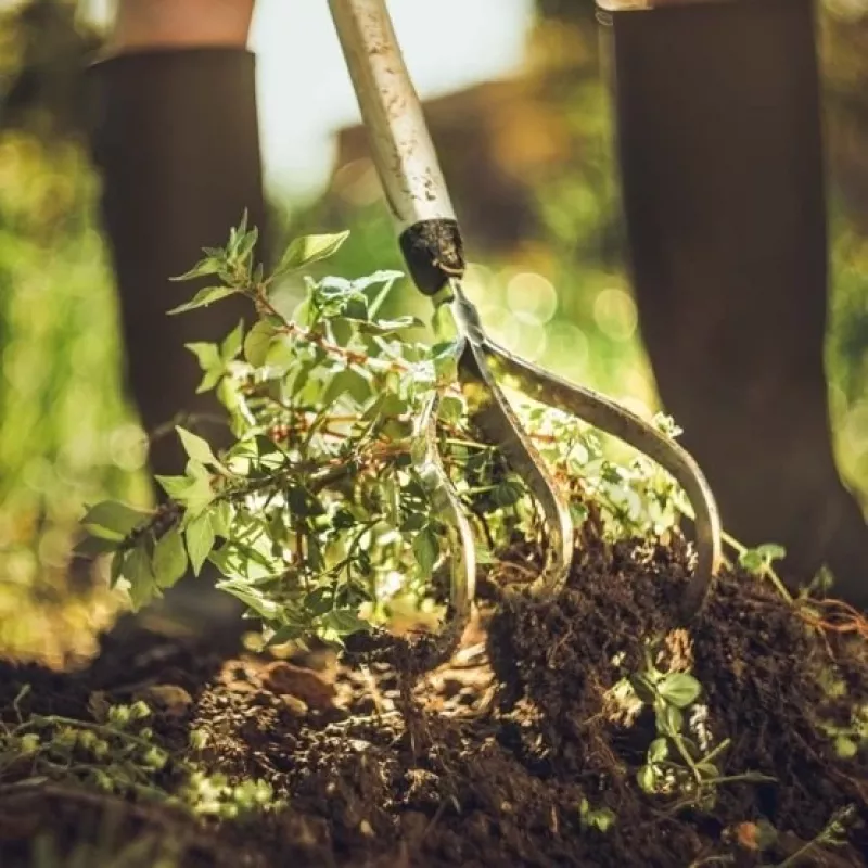 Fiskars Xact™ Cultivator 3 harmaa, valkoinen käsinkuokkija