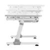 Ergo Office lasten ergonominen korkeussäädettävä työpöytä, harmaa, enintään 100 kg, ER-417 2cz