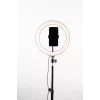 Havit ST7012 Pro jalusta valorenkaalla