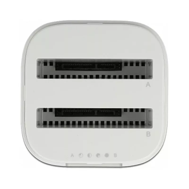 Telakointiasema DeLOCK USB Type-C™ 3.2 2 x 2,5 tuuman SATA-kiintolevyille/SSD-levyille