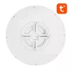 Älykäs kattovalaisin 30cm WiFi/Bluetooth 16M RGBCW Gosund LB12 1920lm Tuya + kaukosäädin.