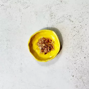 Ollo tonnikala ja kana katkaravut liemessä nro 3 70 g