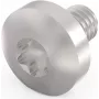 Schroff Torx-ruuvi M4X6 E/PRO (100 kpl/pakkaus) (24560151)
