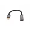 Lanberg AD-DP-HD-04 videokaapeli-adapteri 0,2 m DisplayPort HDMI