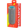 Canyon CNE-CBTSP15BG kannettava kaiutin beige