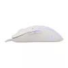 Hiiri White Shark GM-9004 Tristan-2 valkoinen RGB USB