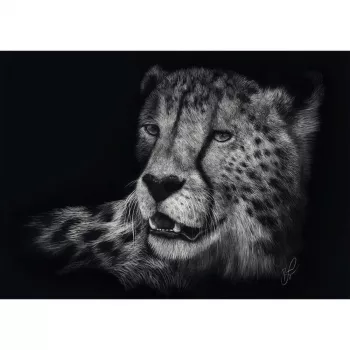 Ashley Rader: Speed - Gepard, Im Zeichen der Anmut, palapeli 1000 palaa