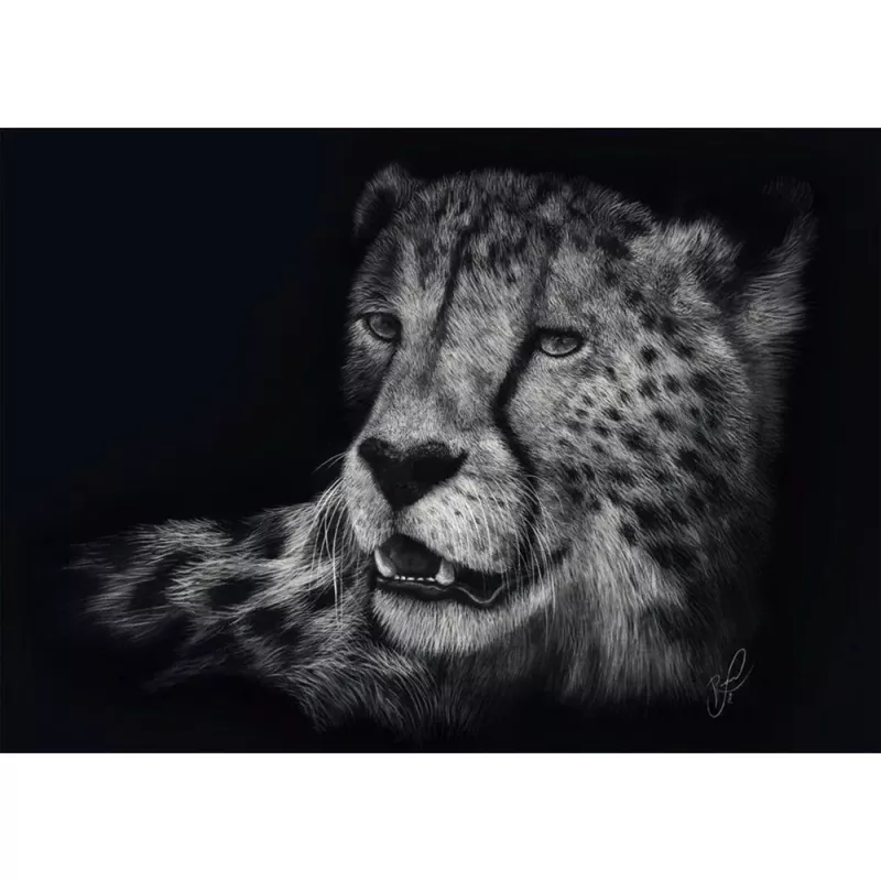 Ashley Rader: Speed - Gepard, Im Zeichen der Anmut, palapeli 1000 palaa