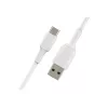 USB-kaapeli Belkin CAB001BT2MWH 2 m USB-A – USB-C valkoinen