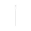 Apple Lightning-USB-kaapeli 1 m MUQW3ZM/A