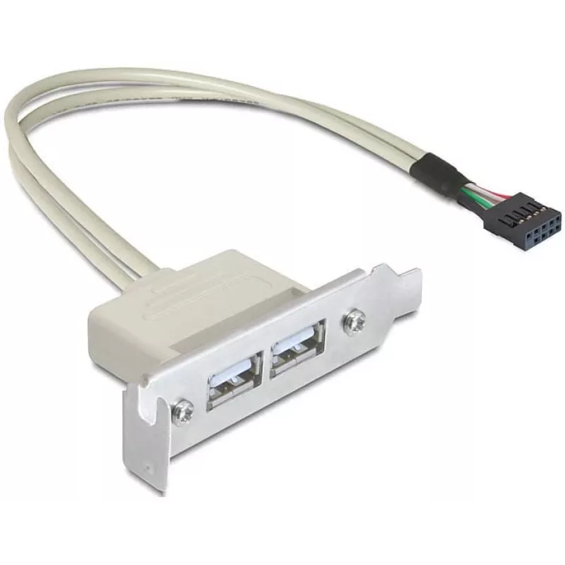 Korttipaikkapelti USB 2.0 DeLOCK 0,5 m