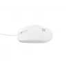 NATEC NMY-1988 hiiri USB Type-A optinen