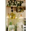 LED-lamppu Segula 55058 lämmin valkoinen 1900 K 6 W E27