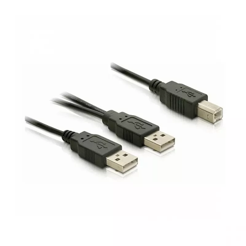 DELOCK kaapeli USB 2.0 B -> USB-A Power + Power/Data