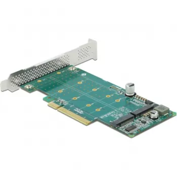 DeLOCK PCI Express x8 -kortti 2 x sisäiseen NVMe M.2 Key M -jakoon Low Profile -muototekijä