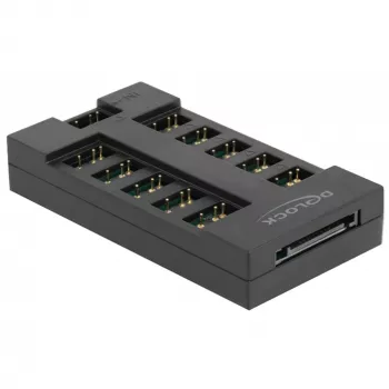 Delock - RGB LED valokeskitin - 10 liitäntää - musta (64128)