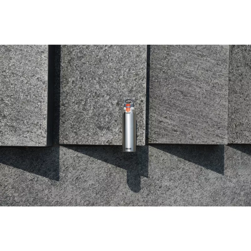 Sigg 8998.20 käsipölynimuri
