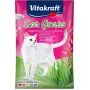 Vitakraft kissanruohon siemenet 50 g - syötävä kasvisekoitus kissoille, 50 g pussi, tukee ruoansulatusta ja karvapallojen poistumista