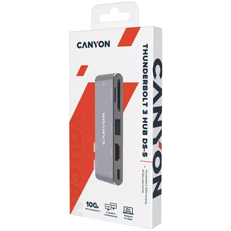 Canyon DS-5 USB 2.0 Type-C harmaa SD-kortinlukija 60 Hz