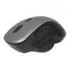 Optinen hiiri Gembird MUSW-6B-02-BG USB